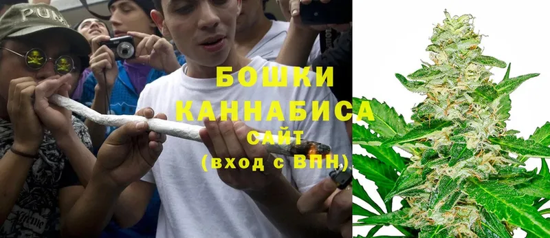 Шишки марихуана THC 21%  Светлый 